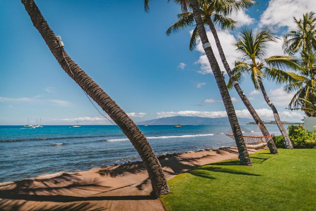 Lahaina Oceanfront Estate - image 4