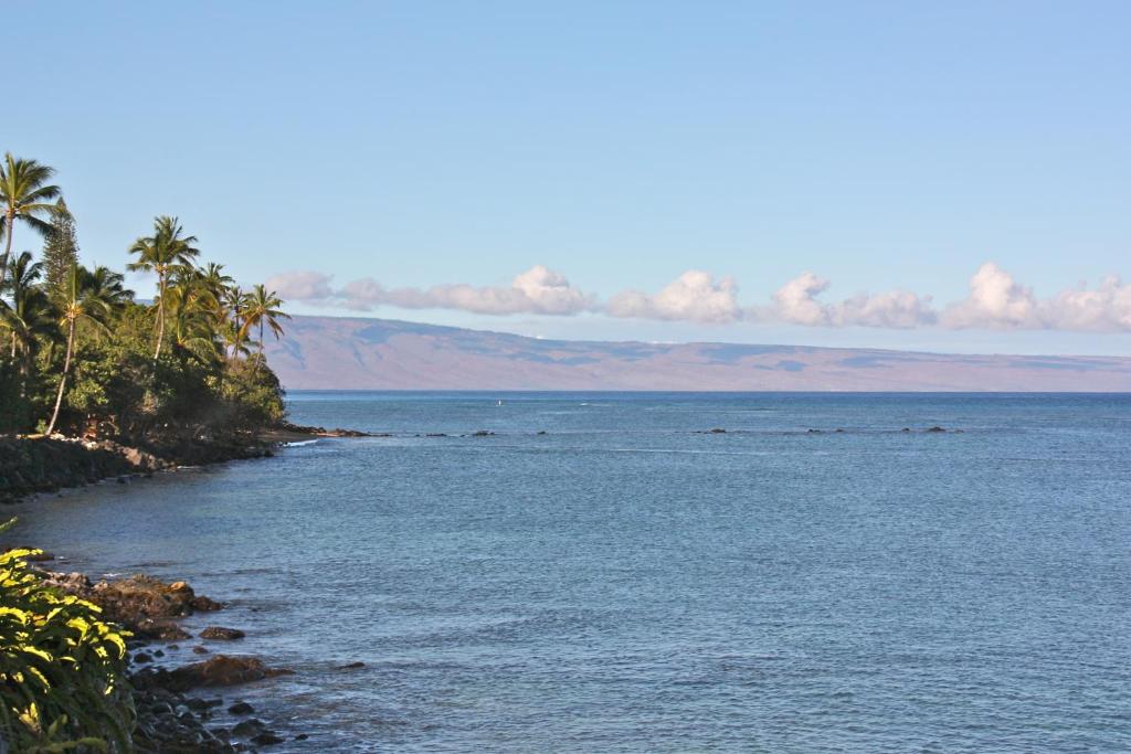 Maui Beach House B & B - image 2