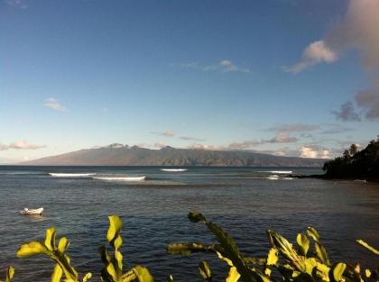 Maui Beach House B & B - image 3