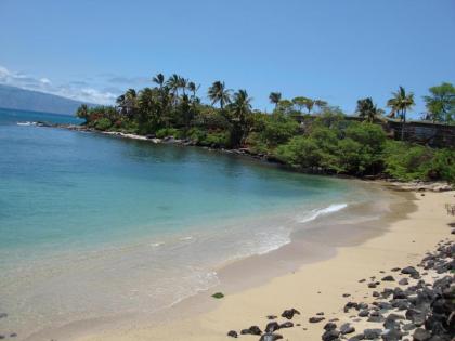 Maui Beach House B & B - image 4