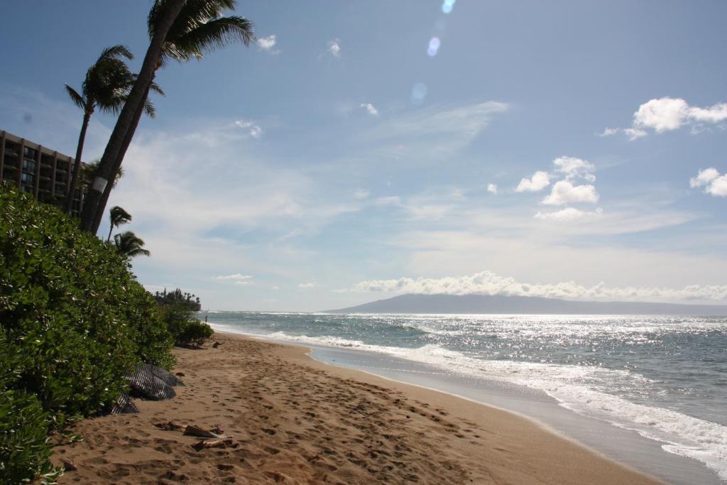 Oceanview Condo at Royal Kahana Resort - image 3