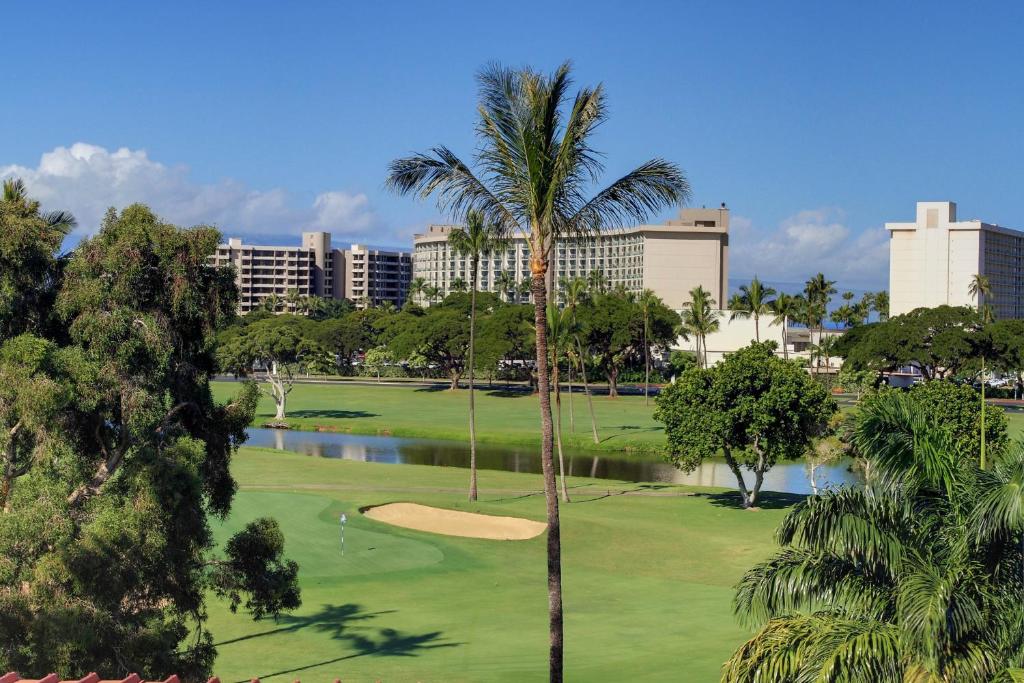 Kaanapali Royal L102 - image 3