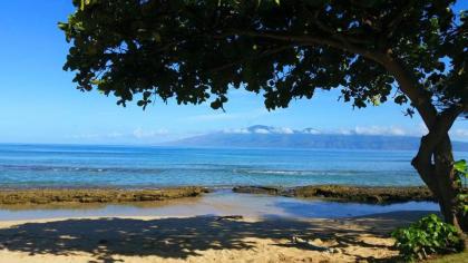 Lahaina Luxury Condos - image 3