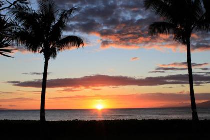 Royal Kahana 201 Lahaina Hawaii