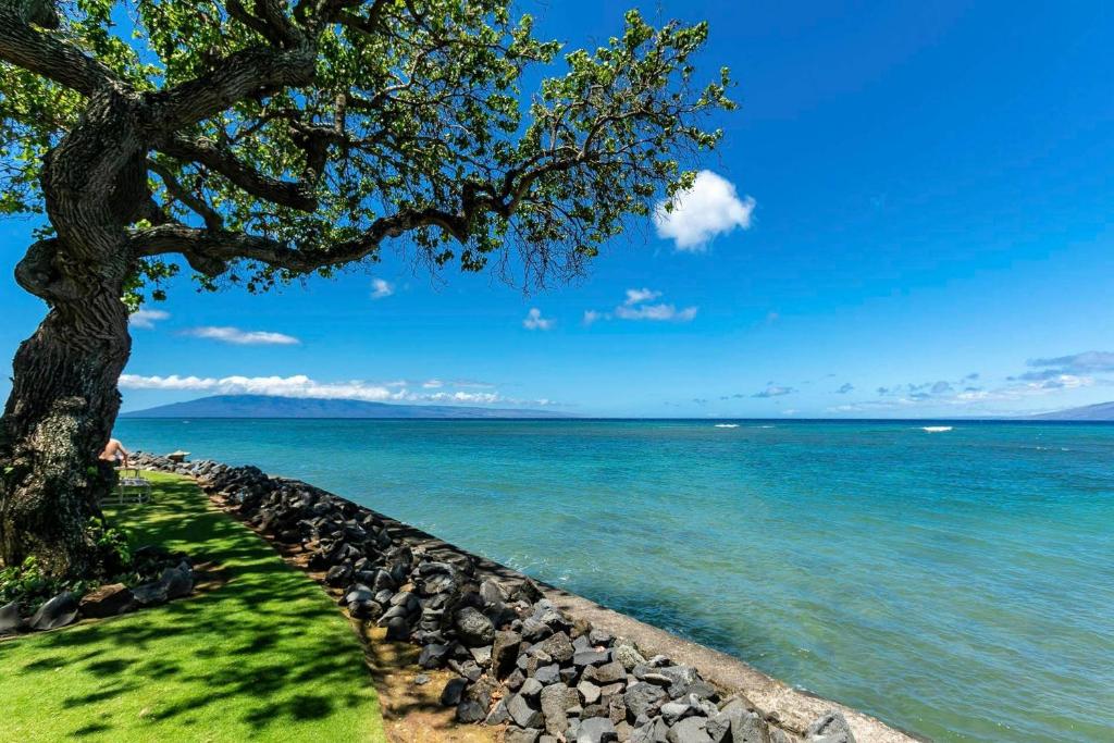 Kahana Reef 205 by Coldwell Banker Island Vacations - image 6