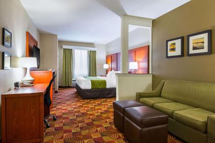 Comfort Suites Lake Charles - image 12