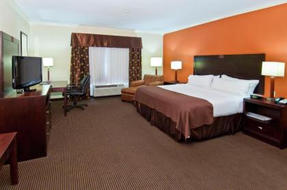 Holiday Inn Hotel & Suites Lake Charles South an IHG Hotel - image 10