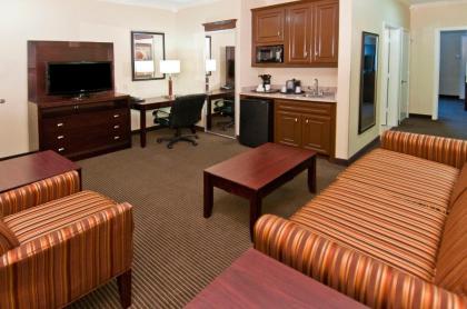 Holiday Inn Hotel & Suites Lake Charles South an IHG Hotel - image 11