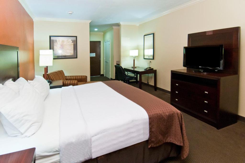 Holiday Inn Hotel & Suites Lake Charles South an IHG Hotel - image 3