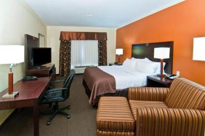 Holiday Inn Hotel & Suites Lake Charles South an IHG Hotel - image 4