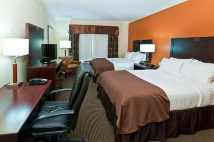Holiday Inn Hotel & Suites Lake Charles South an IHG Hotel - image 6