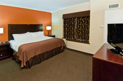 Holiday Inn Hotel & Suites Lake Charles South an IHG Hotel - image 8