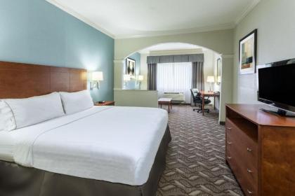 Holiday Inn Express Hotel and Suites Lake Charles an IHG Hotel - image 5