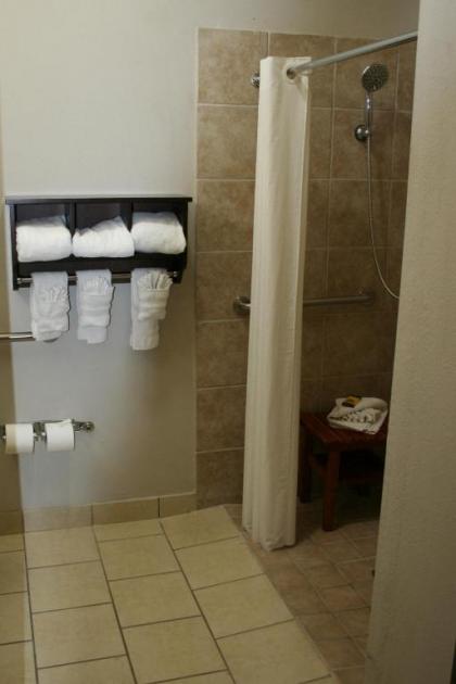 Best Western Plus Lake Dallas Inn & Suites - image 13