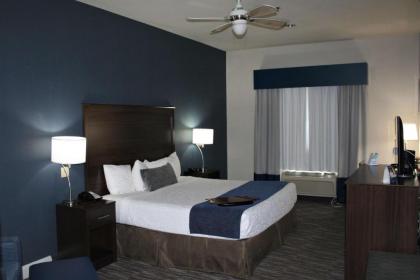 Best Western Plus Lake Dallas Inn & Suites - image 7