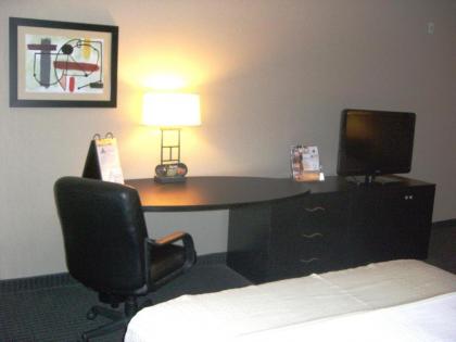 Holiday Inn St. Paul Northeast - Lake Elmo an IHG Hotel - image 10