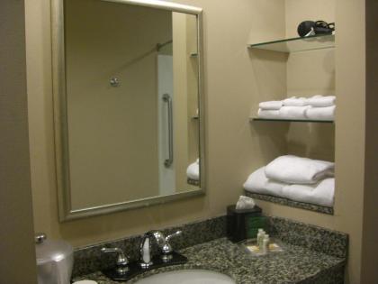 Holiday Inn St. Paul Northeast - Lake Elmo an IHG Hotel - image 14