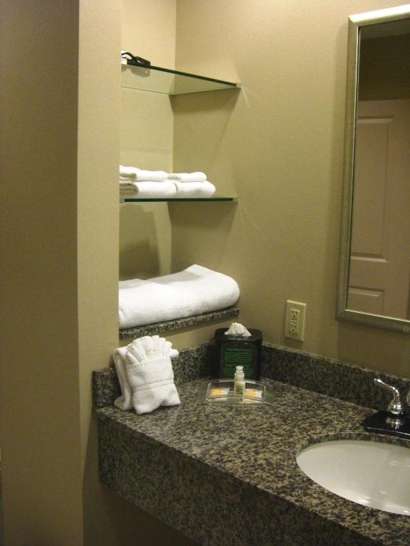 Holiday Inn St. Paul Northeast - Lake Elmo an IHG Hotel - image 3