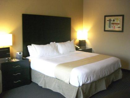 Holiday Inn St. Paul Northeast - Lake Elmo an IHG Hotel - image 8