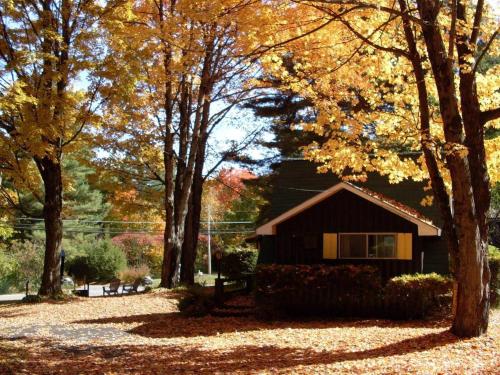 Amber Lantern Duplex Cottage - image 5