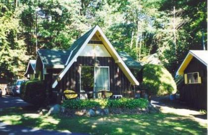 Amber Lantern Two-Bedroom Cottage - image 3