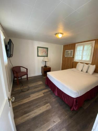 Adirondack Oasis Motel - main image