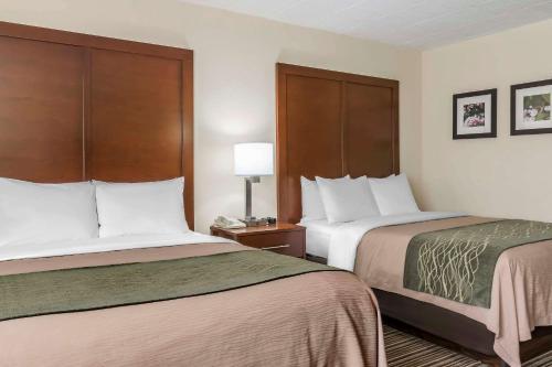 Comfort Inn - Pocono Mountains - image 5