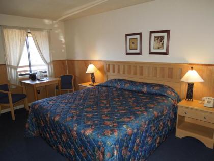 Woodlake Inn - Lake Placid - image 5