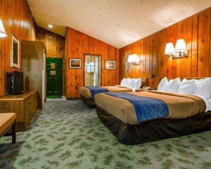 Quality Inn Lake Placid - image 8