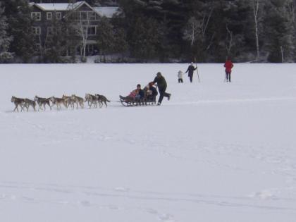 The Haus On Mirror Lake - image 12