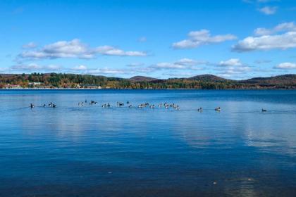 Lake Pleasant Cabin 3 Acres Kayaks and Beach! - image 6