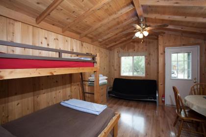 Medina Lake Camping Resort Studio Cabin 1 - image 2