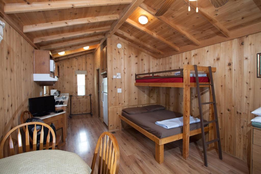 Medina Lake Camping Resort Studio Cabin 1 - image 3