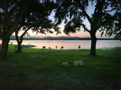 Medina Lake Camping Resort Studio Cabin 1 - image 7