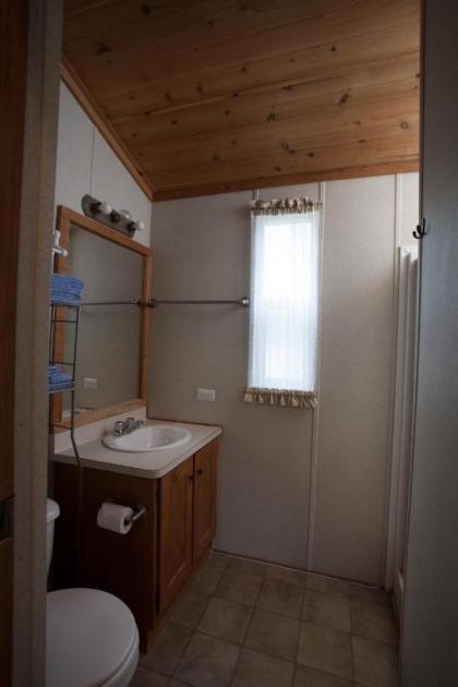 Medina Lake Camping Resort Studio Cabin 2 - image 5