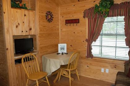 Medina Lake Camping Resort Cabin 3 - image 5