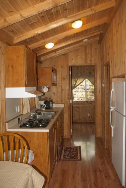 Medina Lake Camping Resort Cabin 8 - image 3