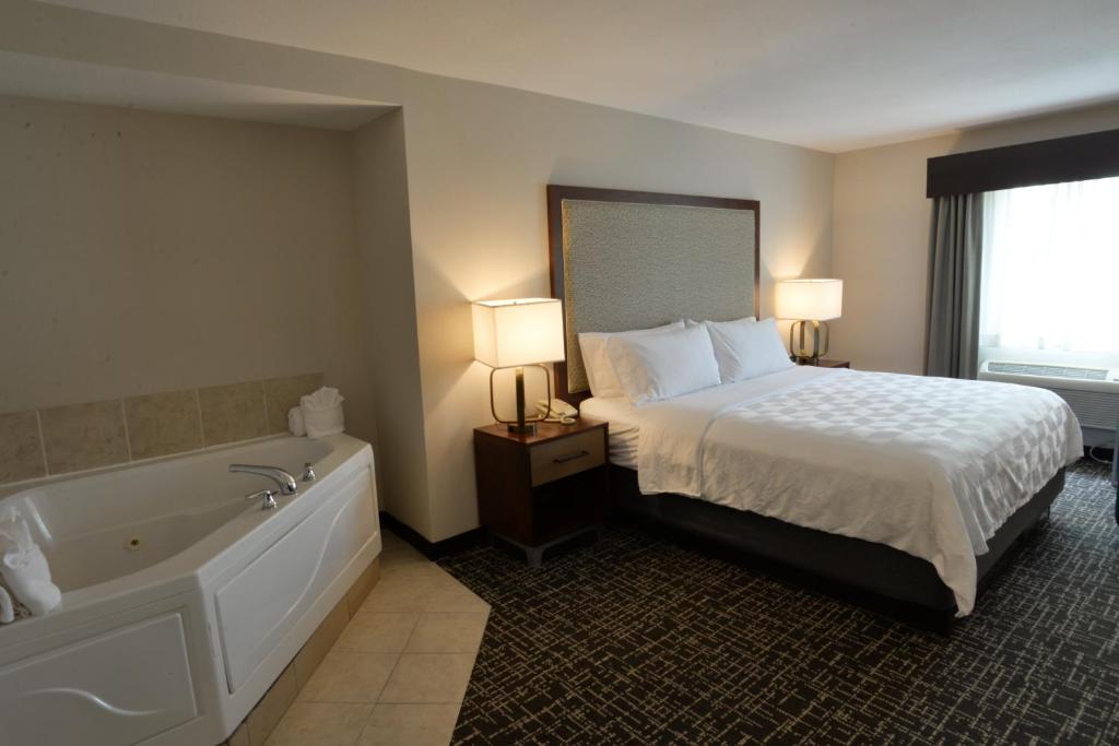 Holiday Inn Hotel & Suites Minneapolis-Lakeville an IHG Hotel - image 3