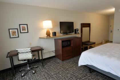 Holiday Inn Hotel & Suites Minneapolis-Lakeville an IHG Hotel - image 4