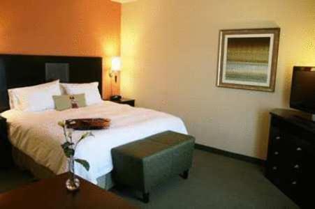 Hampton Inn and Suites Austin - Lakeway - image 4