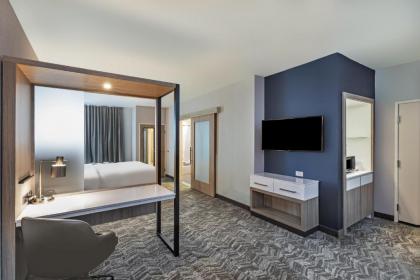 SpringHill Suites by Marriott Austin West/Lakeway - image 7