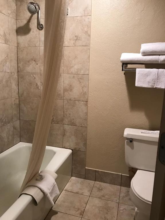 Best Western Lakewood - image 7