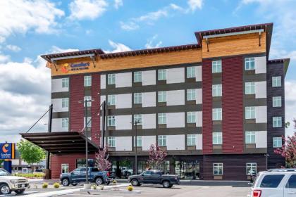 Comfort Inn  Suites Lakewood by JBLm