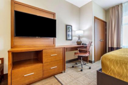 Comfort Inn & Suites Lakewood by JBLM - image 9