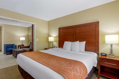 Comfort Suites Lakewood - Denver - image 11