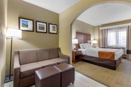 Comfort Suites Lakewood - Denver - image 13