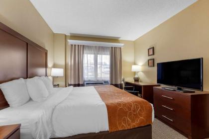 Comfort Suites Lakewood - Denver - image 14