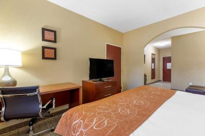 Comfort Suites Lakewood - Denver - image 15