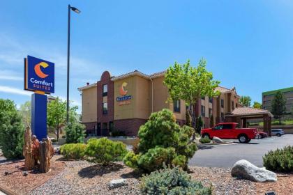 Comfort Suites Lakewood - Denver - image 3