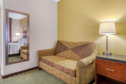 Quality Inn & Suites Lakewood - Denver Southwest - image 9